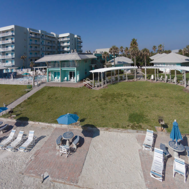 Coconut Palms - New Symrna beach , FL